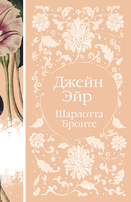 Джейн Эйр (книга #2)