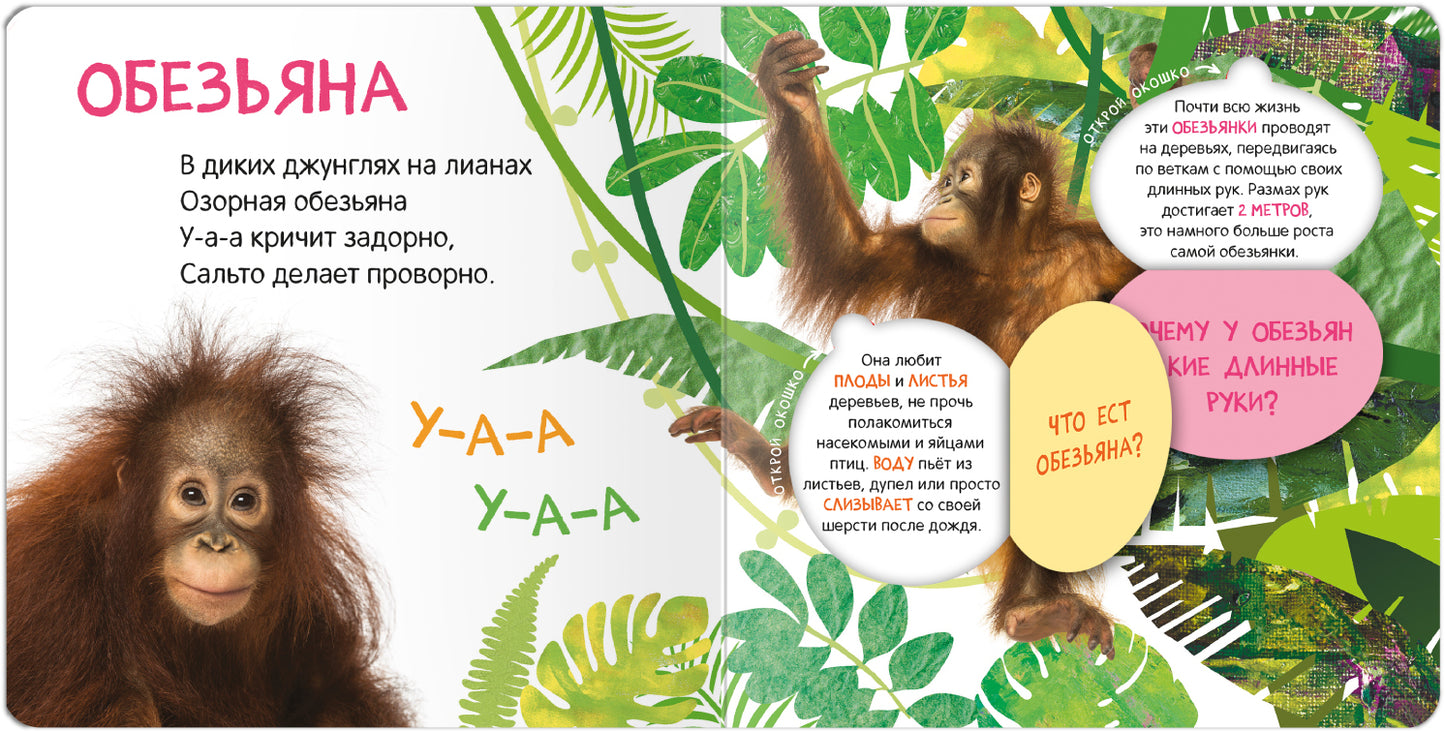 Книжки с окошками. Кто где живет?