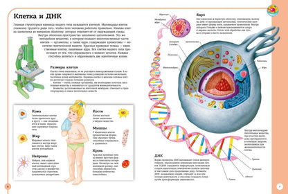 Первый атлас анатомии человека