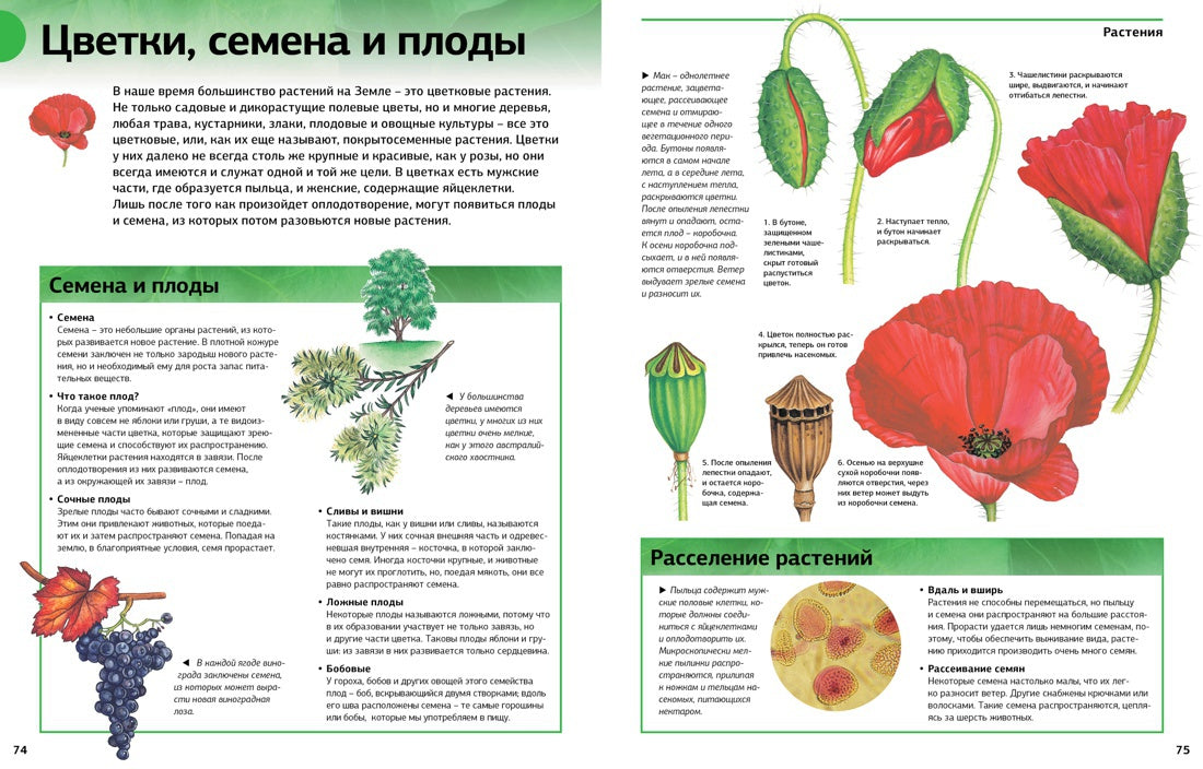 Новая энциклопедия школьника