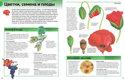 Новая энциклопедия школьника