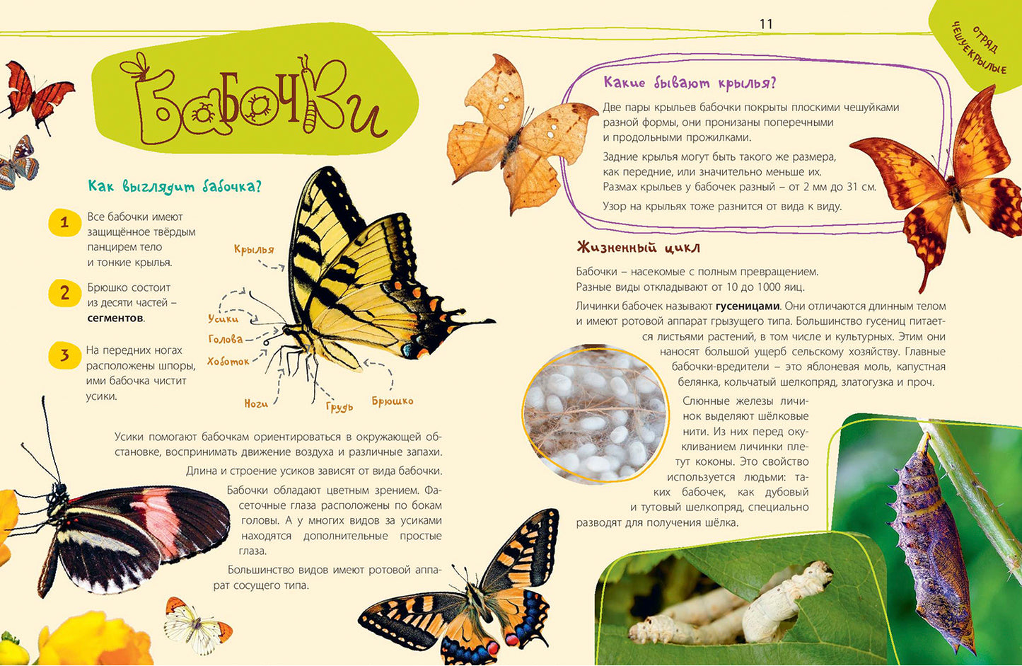 Такие незнакомые эти насекомые (СНИЖЕНА ЦЕНА)