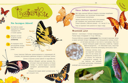 Такие незнакомые эти насекомые (СНИЖЕНА ЦЕНА)