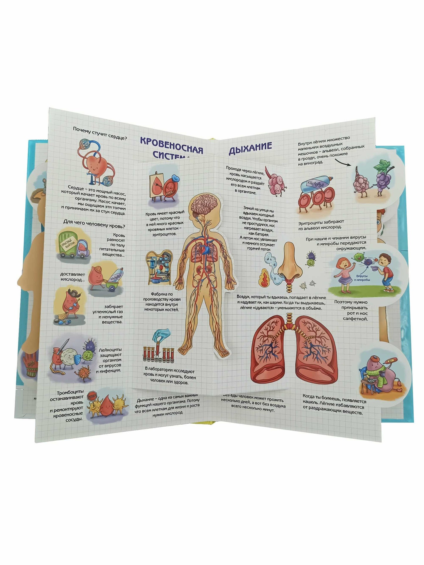 Энциклопедия 3Д СЕКРЕТЫ ЧЕЛОВЕКА твёрдый