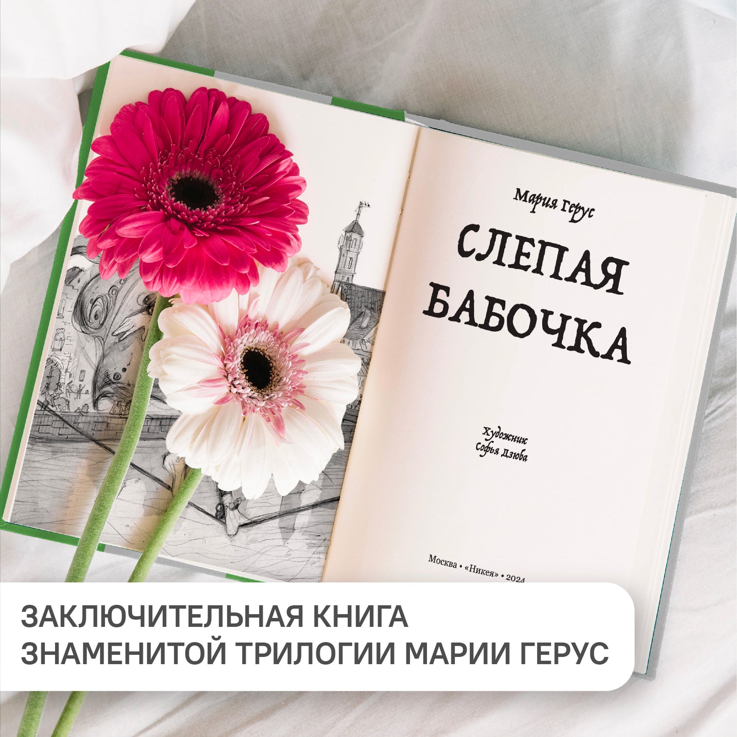 Слепая бабочка: роман
