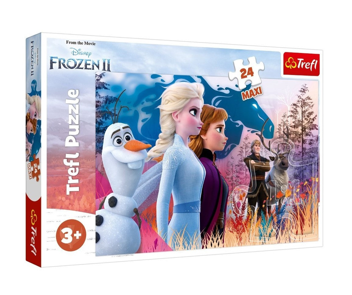 14298 - Trefl - Puzzles - "24 Maxi" - Волшебное путешествие