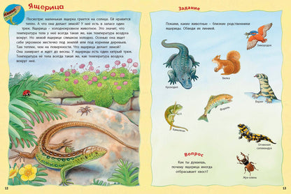 Кто живёт на опушке? Книжка-активити с развивающими заданиями, головоломками, наклейками (СНИЖЕНА ЦЕНА)