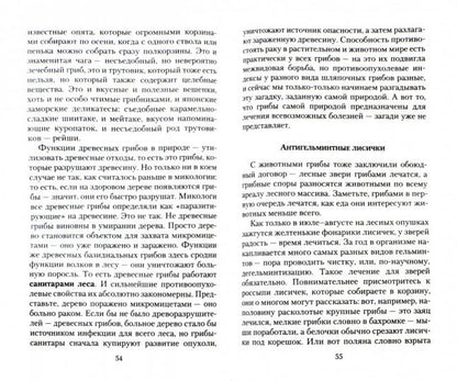 Почему и как грибы лечат рак