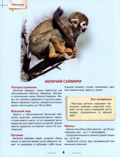 ЭНЦИКЛОПЕДИЯ ДЛЯ ДЕТЕЙ новые. ОБЕЗЬЯНЫ