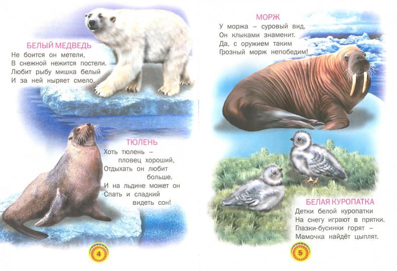 Малышкин зоопарк