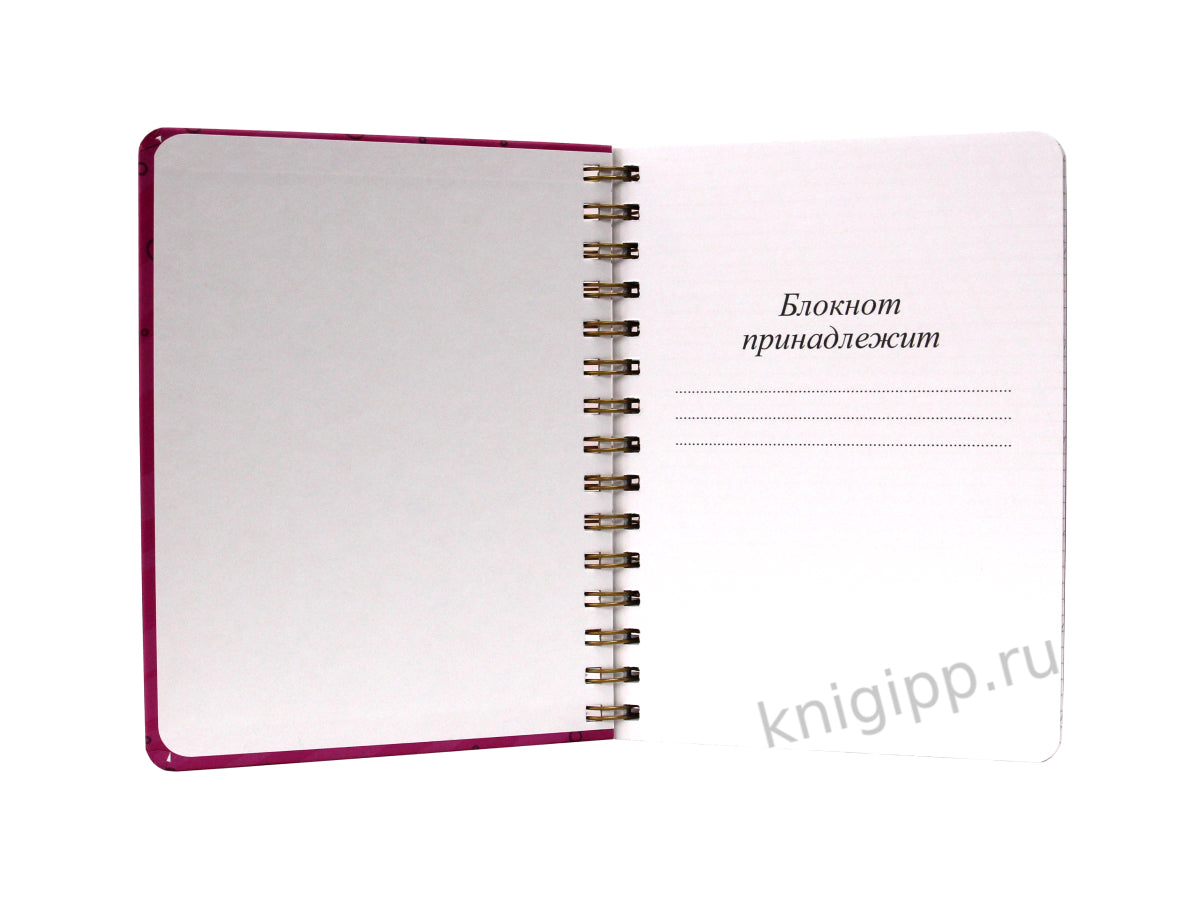 MyArt. СКЕТЧБУК на гребне. БЛОКНОТ ДЛЯ ЛЕТТЕРИНГА И КАЛЛИГРАФИИ