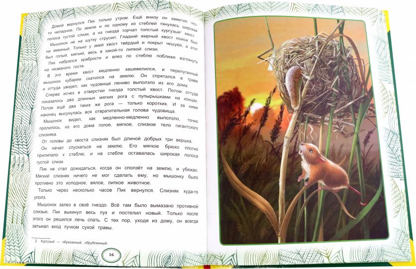 Сказки леса. В.В. Бианки. Большая книга сказок. 240х320мм, 48 стр. , мел. бумага. Умка в кор.30шт