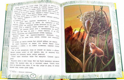 Сказки леса. В.В. Бианки. Большая книга сказок. 240х320мм, 48 стр. , мел. бумага. Умка в кор.30шт