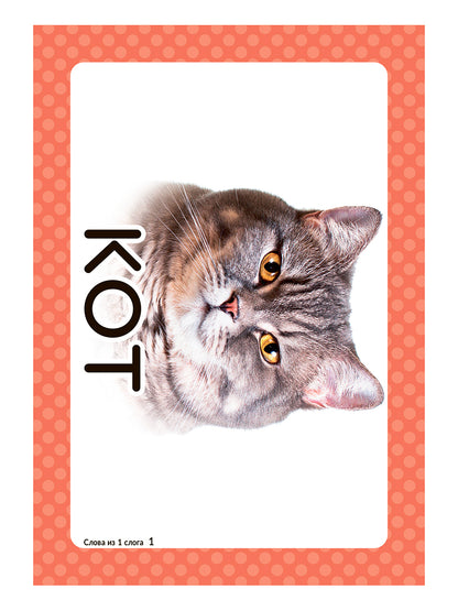 Логопедические карточки.Запускаем речь.Слова из 1 слога. (34 карточки). / Османова, Позднякова.