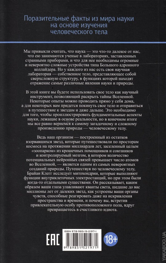 Вселенная внутри вас