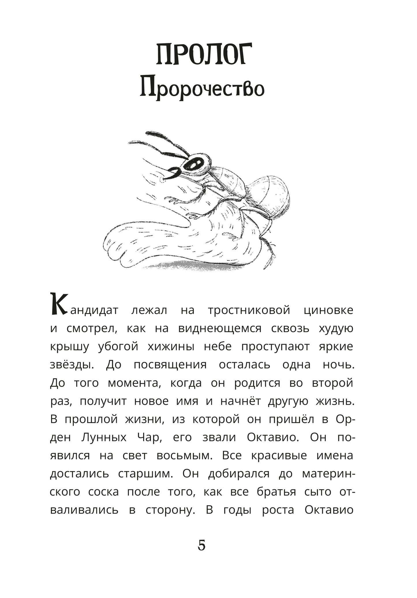 Рип.ДелоВедетМедоед.Тайна тонущего корабля