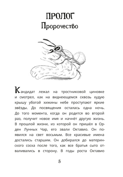 Рип.ДелоВедетМедоед.Тайна тонущего корабля