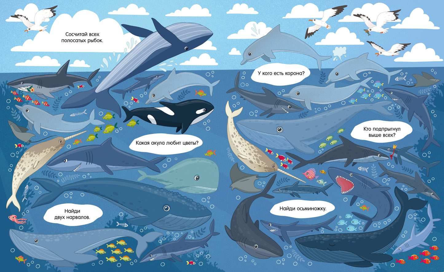 Найди и покажи. Океаны и моря