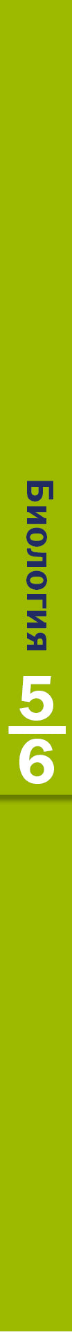 Биология. 5-6 класс. Учебник.