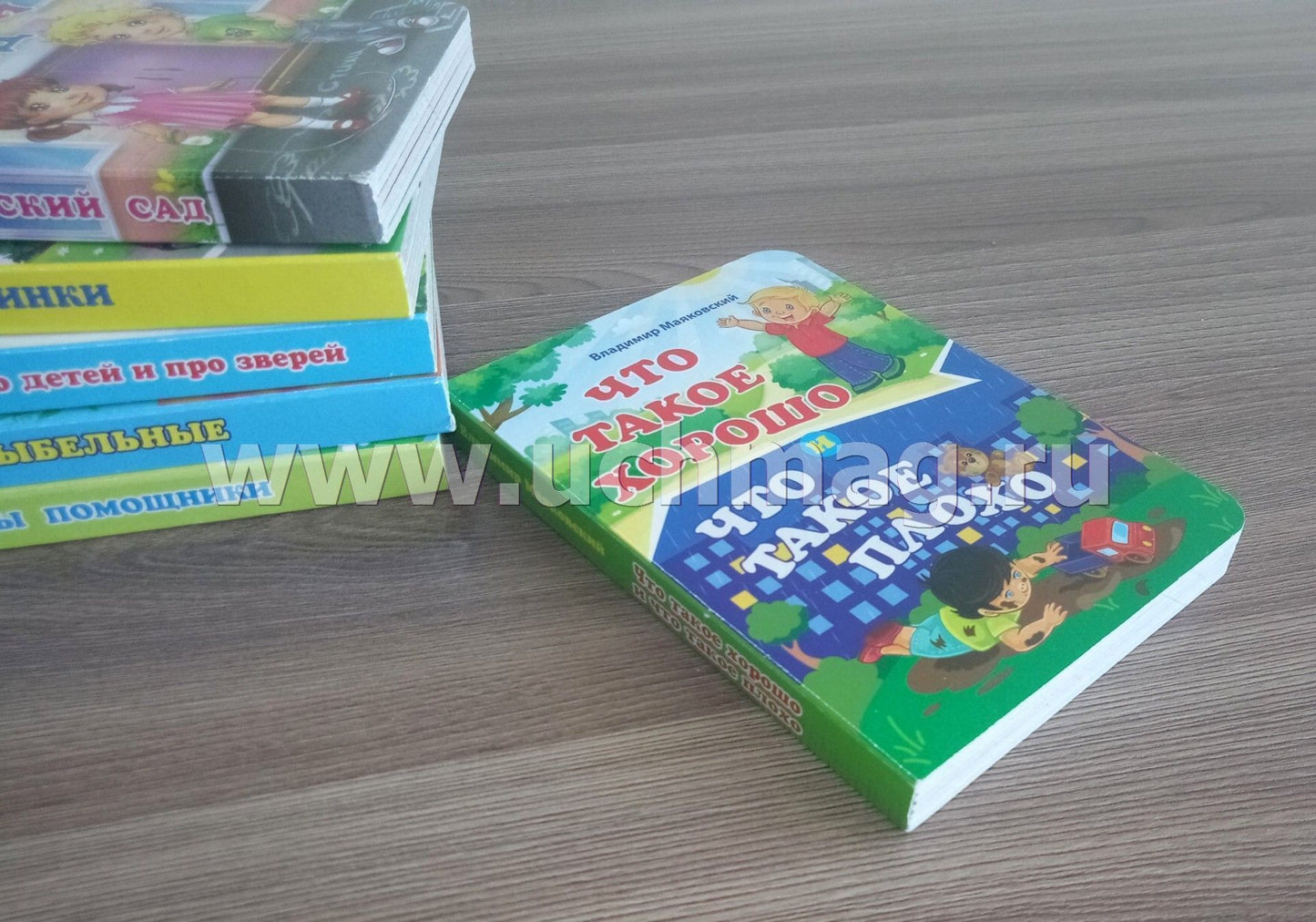 Что такое хорошо и что такое плохо. Владимир Маяковский. Литературно-художественное издание для чтения родителями детям. 12 стр. (Картон, 108*150мм)