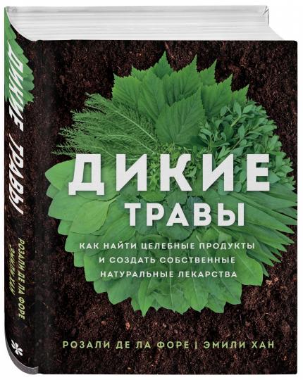 Дикие травы: как найти целебные продукты и создать собственные натуральные лекарства