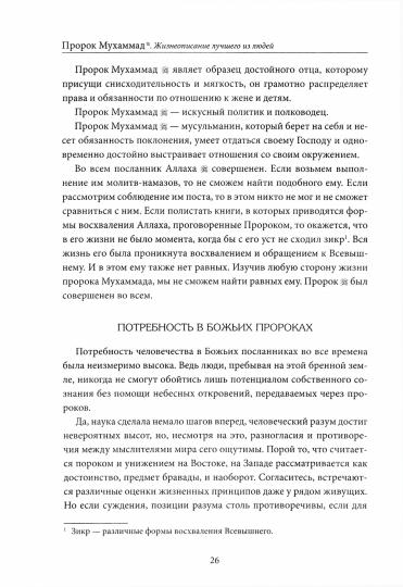 Пророк Мухаммад. Жизнеописание лучшего из людей (обл.Росток)