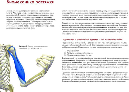 Ключевые позы йоги