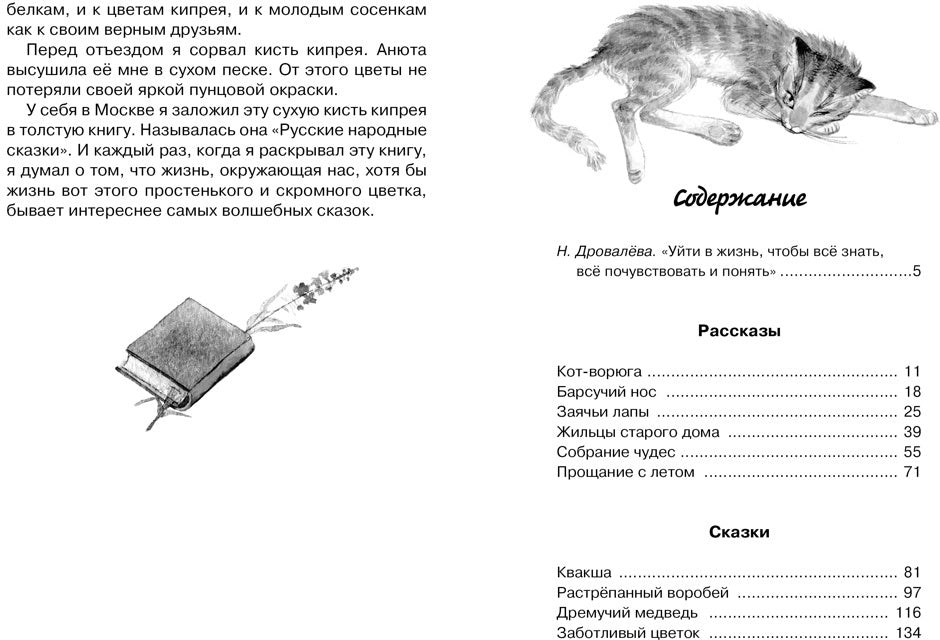 Кот-ворюга. Рассказы и сказки