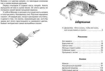 Кот-ворюга. Рассказы и сказки