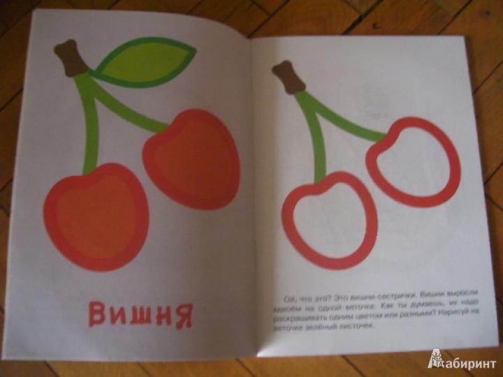 Супер-пупер для малышей от1до3. Правильная раскраска