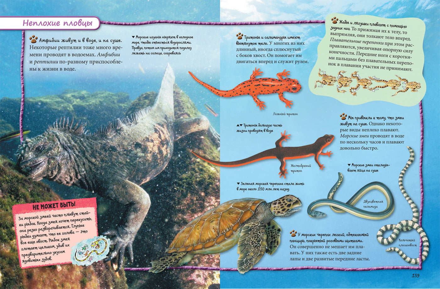 Всё обо всем. Энциклопедия интересных фактов
