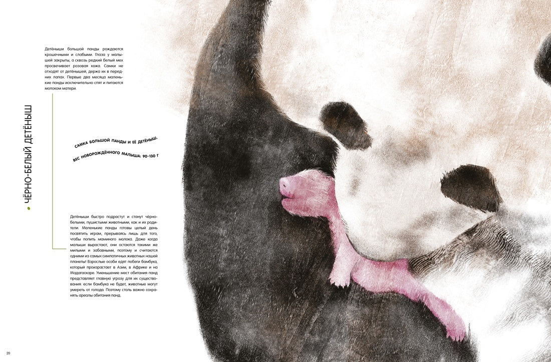 Детёныши животных в натуральную величину