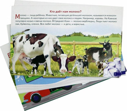 Карточки (европодвес). Как получается молоко; Карточки (европодвес). Как получается молоко