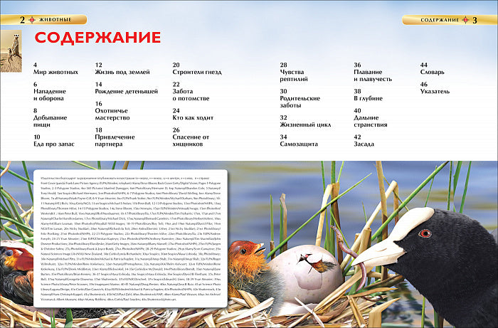 Животные. Детская энциклопедия