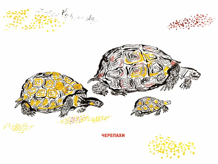 Рисуем зверей.Уроки Никиты Чарушина