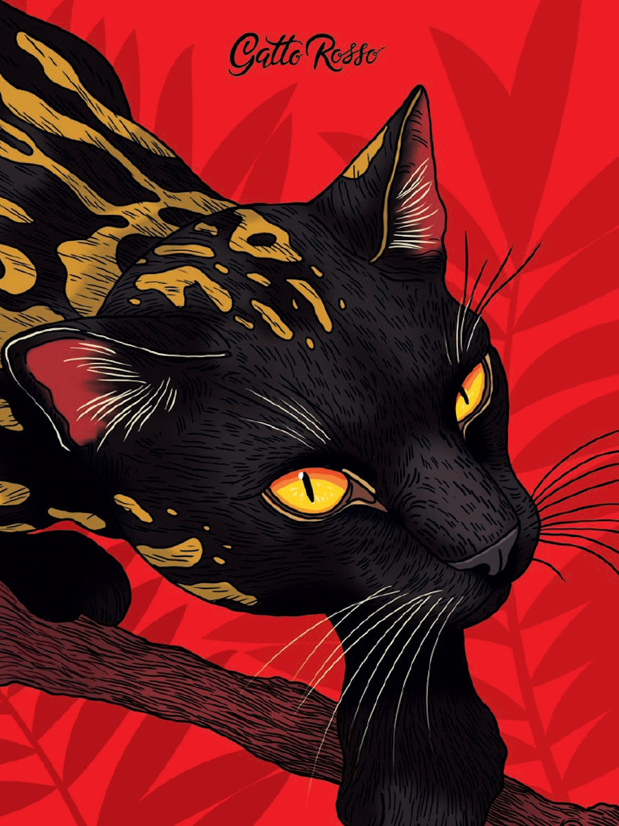 Gatto Rosso. Блокнот в клетку "ДИКИЕ КОШКИ" ЧЁРНАЯ КОШКА