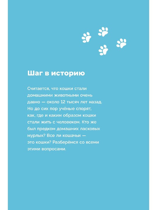 Хочу котенка! Полное пособие по уходу за питомцем