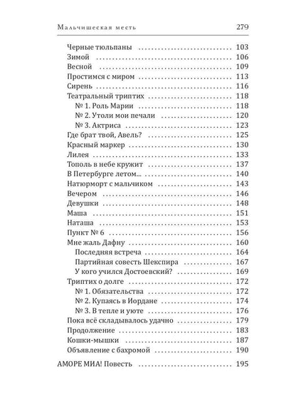 Мальчишеская месть