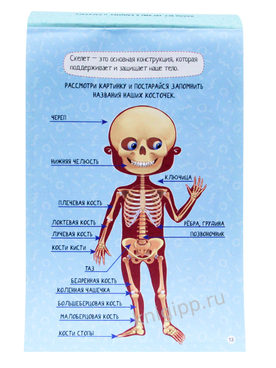 УМНЫЙ БЛОКНОТ. ТЕЛО ЧЕЛОВЕКА