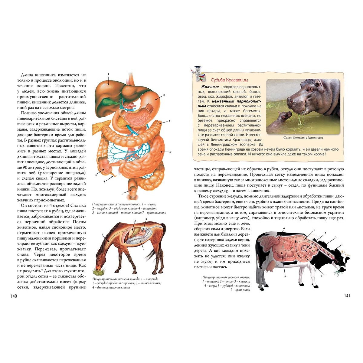 Biologie biologique avec soins et résolution