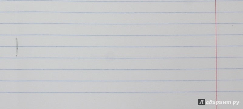 Тетрадь 24л,линия,ЖИВОТНЫЕ,5видов,42920-25