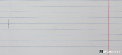 Тетрадь 24л,линия,ЖИВОТНЫЕ,5видов,42920-25