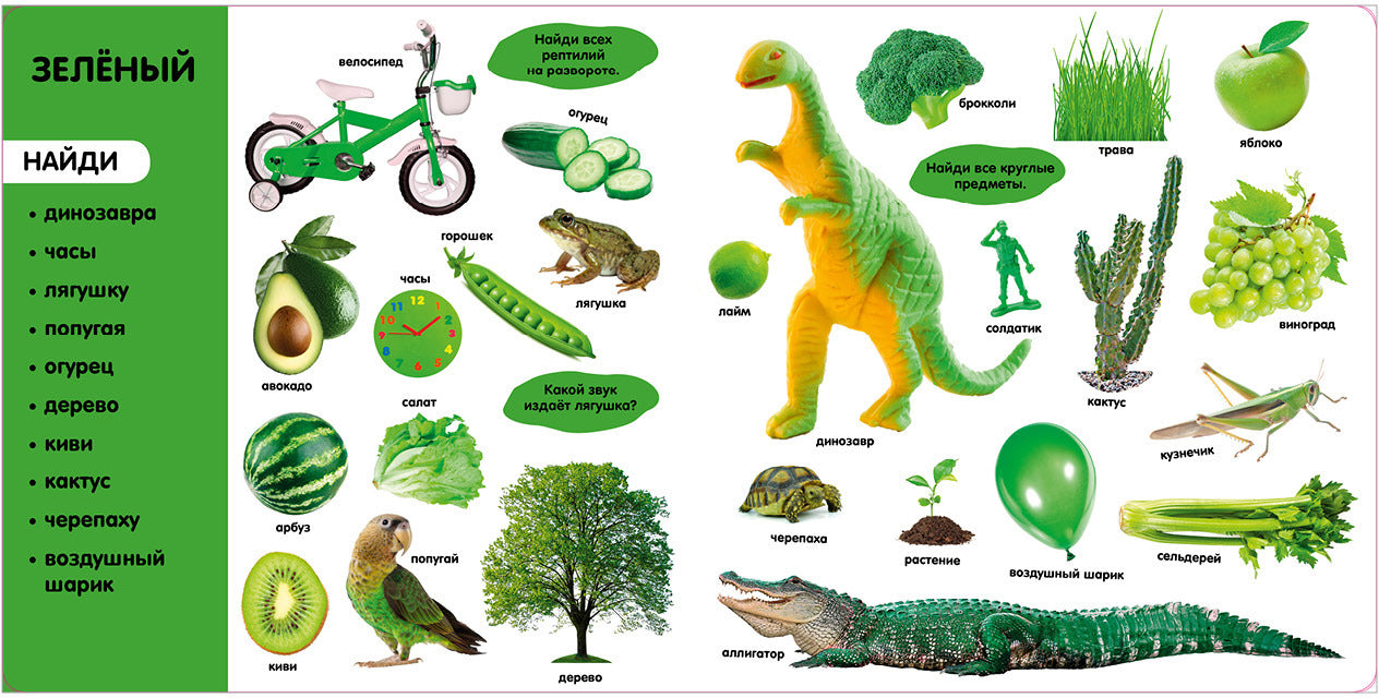 Книжки-картонки. Фотокнига. Цвета