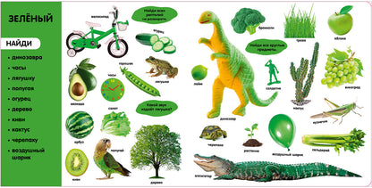 Книжки-картонки. Фотокнига. Цвета