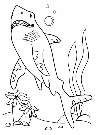 БОЛЬШАЯ РАСКРАСКА. ДЛЯ МАЛЬЧИКОВ