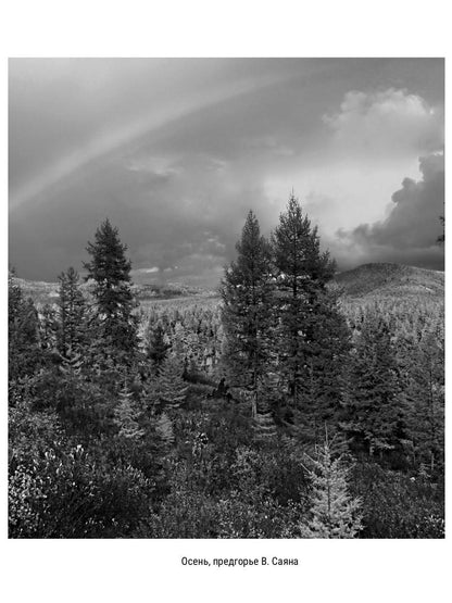 Не судите строго. Сборник