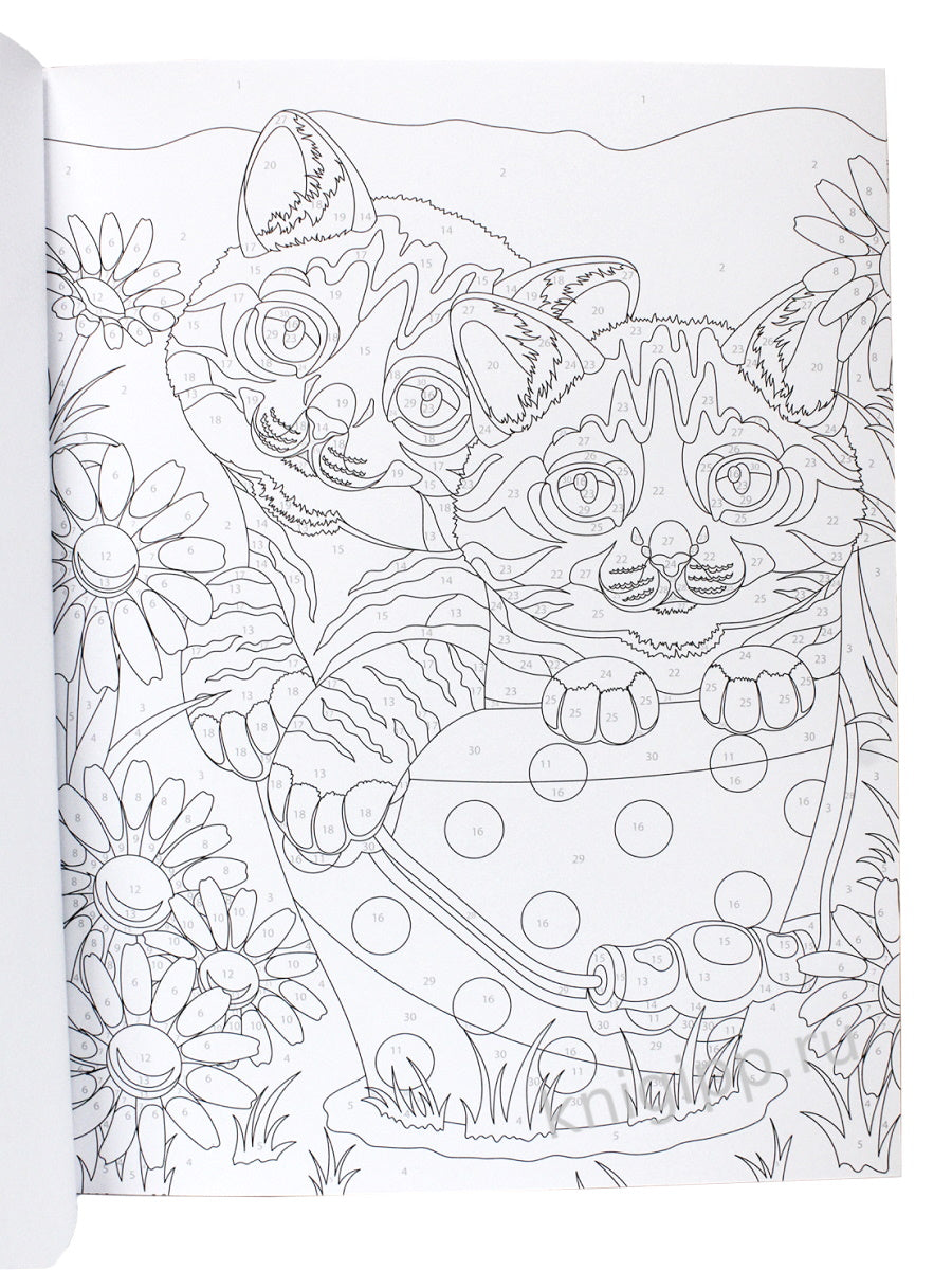 КАРТИНЫ ПО НОМЕРАМ. ВДОХНОВЕНИЕ