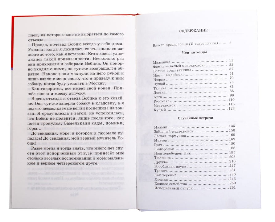 Забавные животные