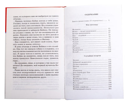 Забавные животные