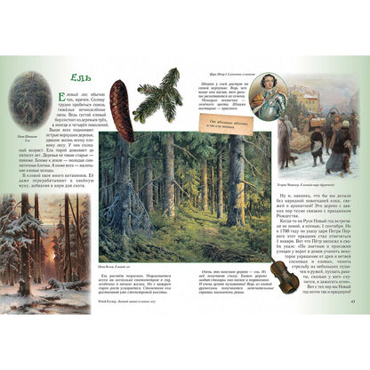 Прогулки по лесу. - 2-е изд.